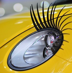 3D Car Eyelashes