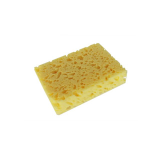 Wash Sponge